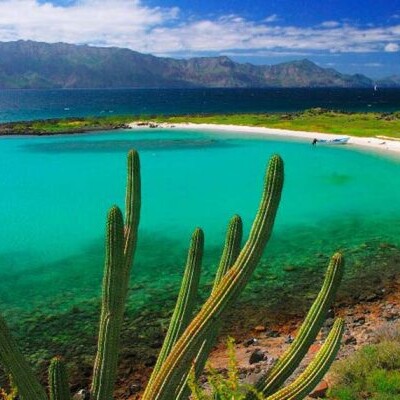 desert and sea views in baja mexico