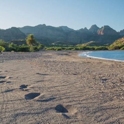 custom baja kayaking trips through the sea of cortez